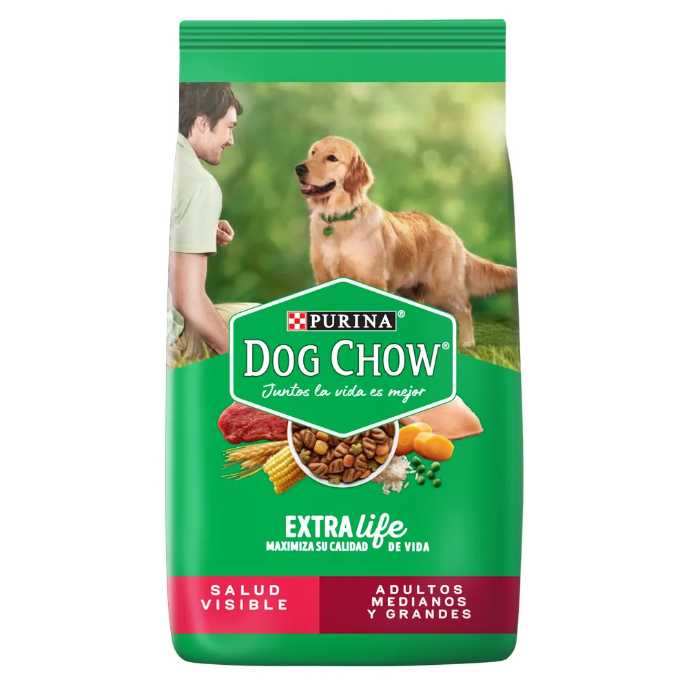 Dog chow purina best sale